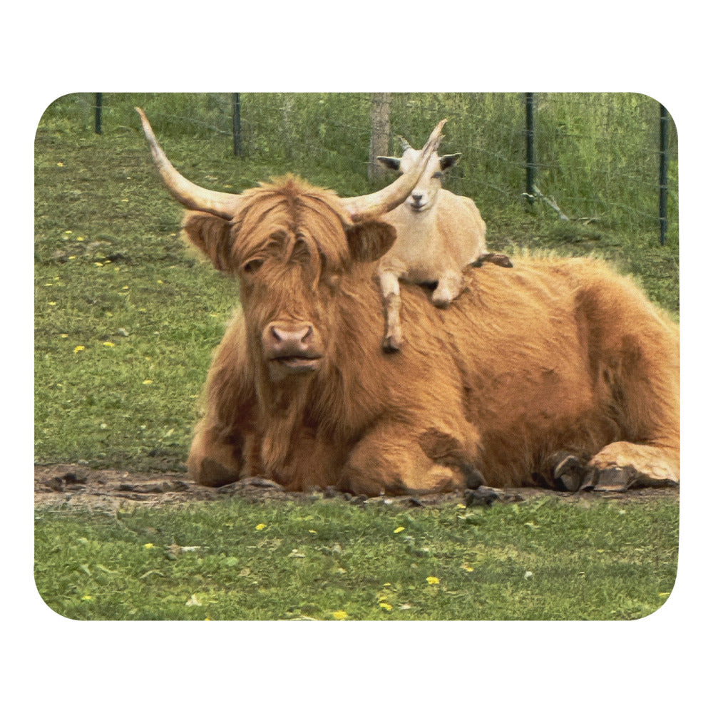 Barry Rides Belle - Mouse Pad