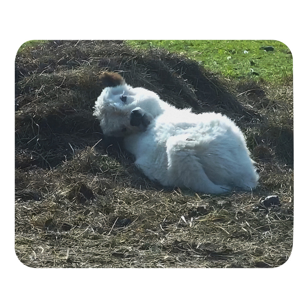 Q-tip Solo - Mouse Pad