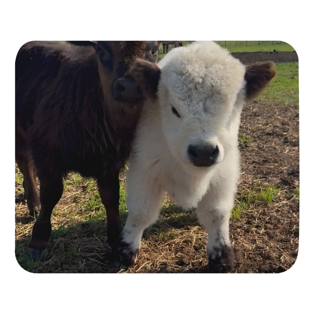 Best Buds (Q-tip & Leo) - Mouse Pad