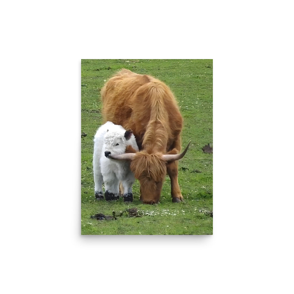 Q-tip & Mama - Matte Poster 12x16